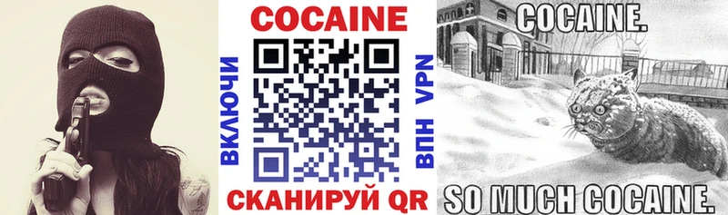 COCAIN FishScale  купить наркотики цена  Рузаевка 