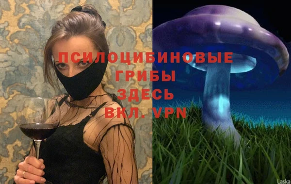 соль ск Армянск